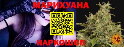 гидра Тара