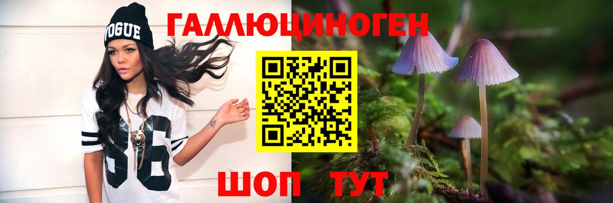 где купить наркоту  Вход с VPN  Сорочинск  Галлюциногенные грибы GOLDEN TEACHER 